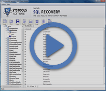 Video of SQL Recovery