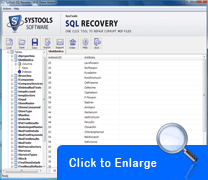 SQL Server 2005 Error 18452 fixer
